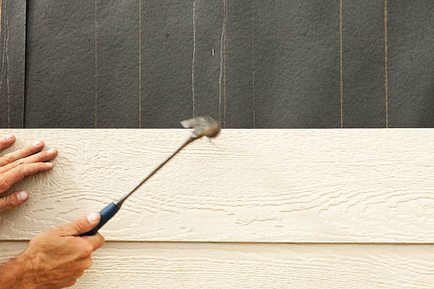 Best Stone Veneer Siding  in Escondido, CA